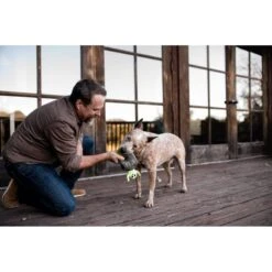 P.L.A.Y. Pet Lifestyle And You Howling Haunts Ghoulishgrave Plush Squeaky Dog Toy -Dog Supply Store 896982 PT6. AC SS1800 V1689960580