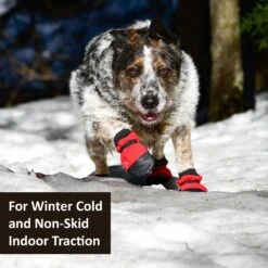 Muttluks Hott Doggers Dog Boot, 4 Boots 10 Muttluks Hott Doggers Dog Boot, 4 Boots -Dog Supply Store 897510 PT2. AC SS1800 V1689963547