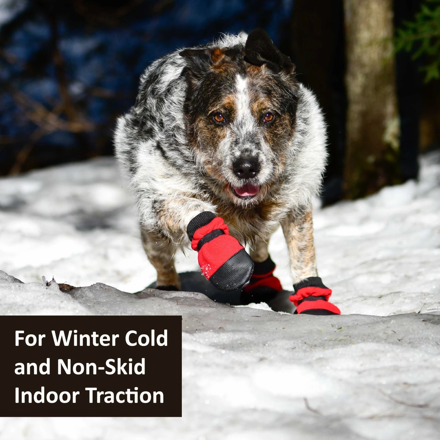 Muttluks Hott Doggers Dog Boot, 4 Boots 3 Muttluks Hott Doggers Dog Boot, 4 Boots - Image 3