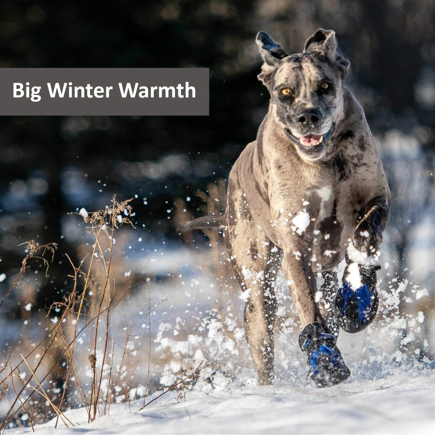 Muttluks Snow Mushers Winter Dog Boot, 2 Boots 7 Muttluks Snow Mushers Winter Dog Boot, 2 Boots - Image 7