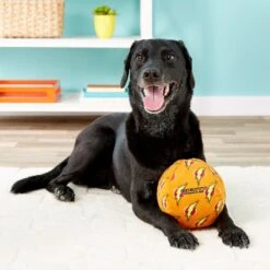 Mighty Squeaky Stuffing-Free Plush Ball Dog Toy -Dog Supply Store 90111 PT3. AC SS1800 V1589560616