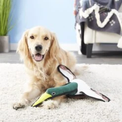 Tuffy's Barnyard Duck Squeaky Plush Dog Toy -Dog Supply Store 90117 PT3. AC SS1800 V1589560645