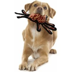 Tuffy's Desert Spider Plush Dog Toy -Dog Supply Store 90125 PT2. AC SS1800 V1589560896