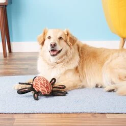 Tuffy's Desert Spider Plush Dog Toy -Dog Supply Store 90125 PT3. AC SS1800 V1589560889