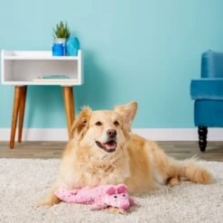 Ethical Pet Skinneeez Extreme Stuffer Pig Stuffing-Free Squeaky Plush Dog Toy -Dog Supply Store 90286 PT7. AC SS1800 V1527093786
