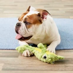 Ethical Pet Skinneeez Extreme Stuffer Frog Stuffing-Free Squeaky Plush Dog Toy 7 Ethical Pet Skinneeez Extreme Stuffer Frog Stuffing-Free Squeaky Plush Dog Toy -Dog Supply Store 90288 PT7. AC SS1800 V1527093792