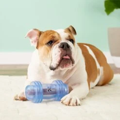 Starmark Crunching Barbell Treat Dispensing Tough Dog Toy -Dog Supply Store 90396 PT2. AC SS1800 V1589320283