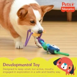 FISHER PRICE Tugs With Friends Intercative Dog Toy, Multicolor 13 FISHER PRICE Tugs With Friends Intercative Dog Toy, Multicolor -Dog Supply Store 908054 PT5. AC SS1800 V1699022161