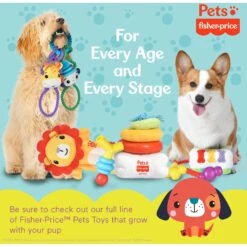 FISHER PRICE Tugs With Friends Intercative Dog Toy, Multicolor 15 FISHER PRICE Tugs With Friends Intercative Dog Toy, Multicolor -Dog Supply Store 908054 PT7. AC SS1800 V1699022106