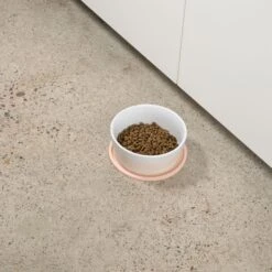 Waggo Habit Circle Silicone Dog & Cat Placemat, 2 Count -Dog Supply Store 910598 PT3. AC SS1800 V1697761939