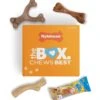 Nylabone The Box Chew Toy & Treat Gift Box