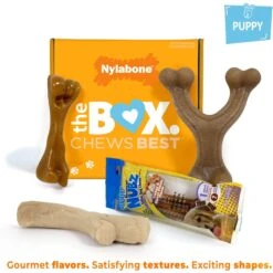 Nylabone The Box Chew Toy & Treat Gift Box -Dog Supply Store 915502 PT2. AC SS1800 V1700001129