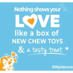 Nylabone The Box Chew Toy & Treat Gift Box -Dog Supply Store 915502 PT4. AC SS1800 V1700169568