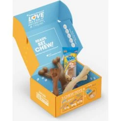 Nylabone The Box Chew Toy & Treat Gift Box -Dog Supply Store 915502 PT6. AC SS1800 V1700169569