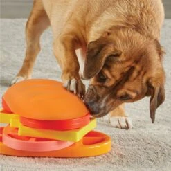 Brightkins Pupstrami Surprise! Treat Puzzle Dog Toy 12 Brightkins Pupstrami Surprise! Treat Puzzle Dog Toy -Dog Supply Store 930102 PT4. AC SS1800 V1698765995