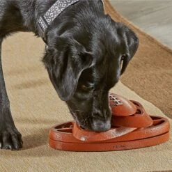 Brightkins Touchdown Time! Treat Puzzle Dog Toy 10 Brightkins Touchdown Time! Treat Puzzle Dog Toy -Dog Supply Store 930118 PT3. AC SS1800 V1698766048