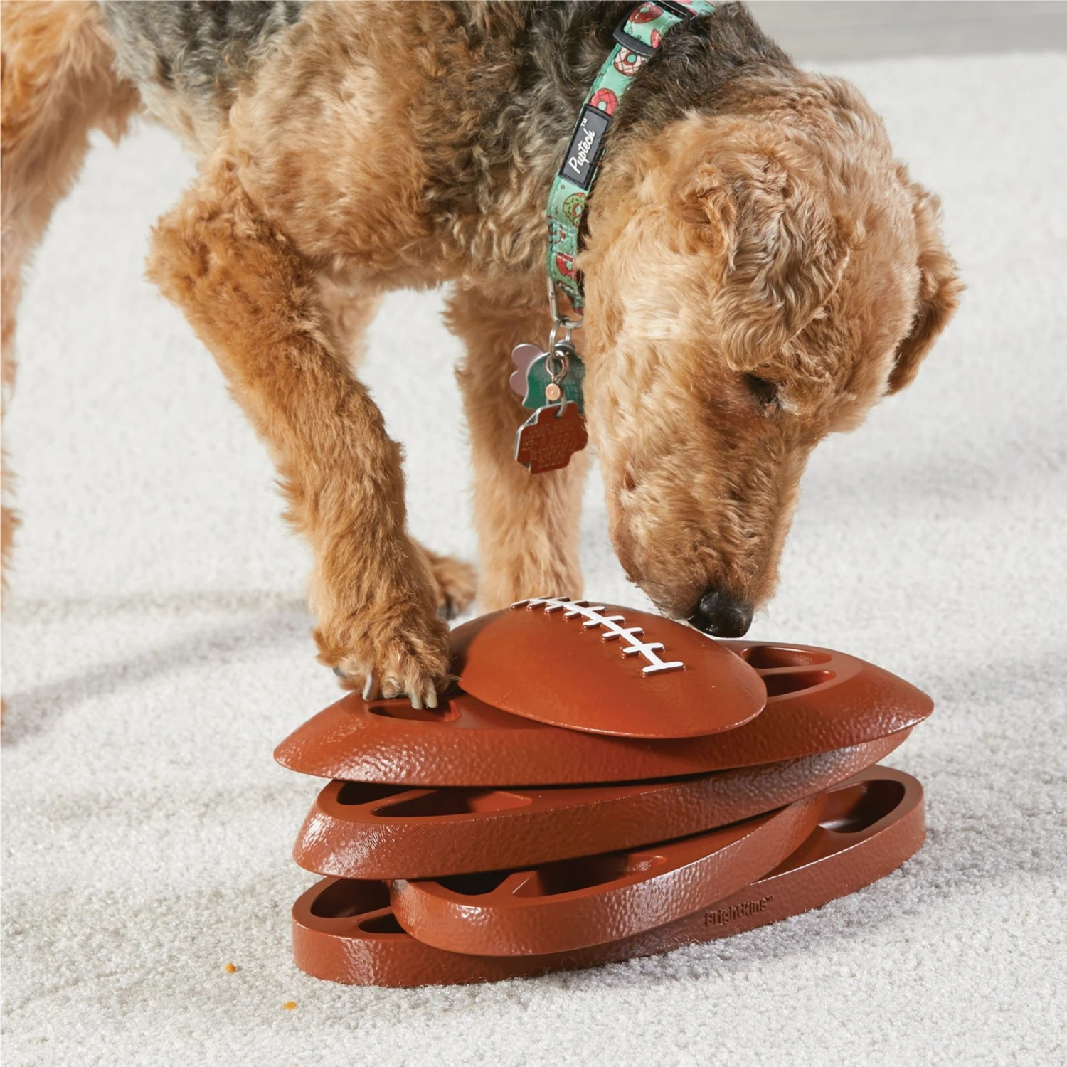 Brightkins Touchdown Time! Treat Puzzle Dog Toy 5 Brightkins Touchdown Time! Treat Puzzle Dog Toy - Image 5