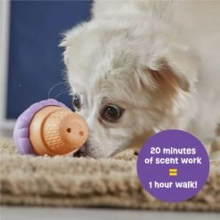 Brightkins Small Ice Cream Treat Dispenser Dog Toy -Dog Supply Store 930134 PT2. AC SS1800 V1698765995