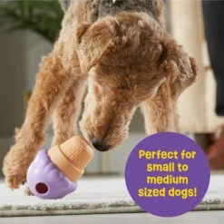 Brightkins Small Ice Cream Treat Dispenser Dog Toy -Dog Supply Store 930134 PT3. AC SS1800 V1698766048