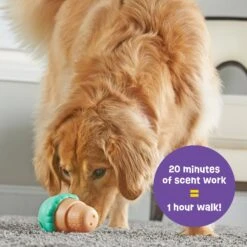 Brightkins Large Ice Cream Treat Dispenser Dog Toy 9 Brightkins Large Ice Cream Treat Dispenser Dog Toy -Dog Supply Store 930150 PT2. AC SS1800 V1698765990