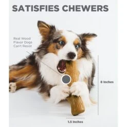 Petstages Dogwood Tough Dog Chew Toy & Nylabone Power Chew Textured Dog Chew Ring Toy Flavor Medley -Dog Supply Store 933430 PT4. AC SS1800 V1692303299