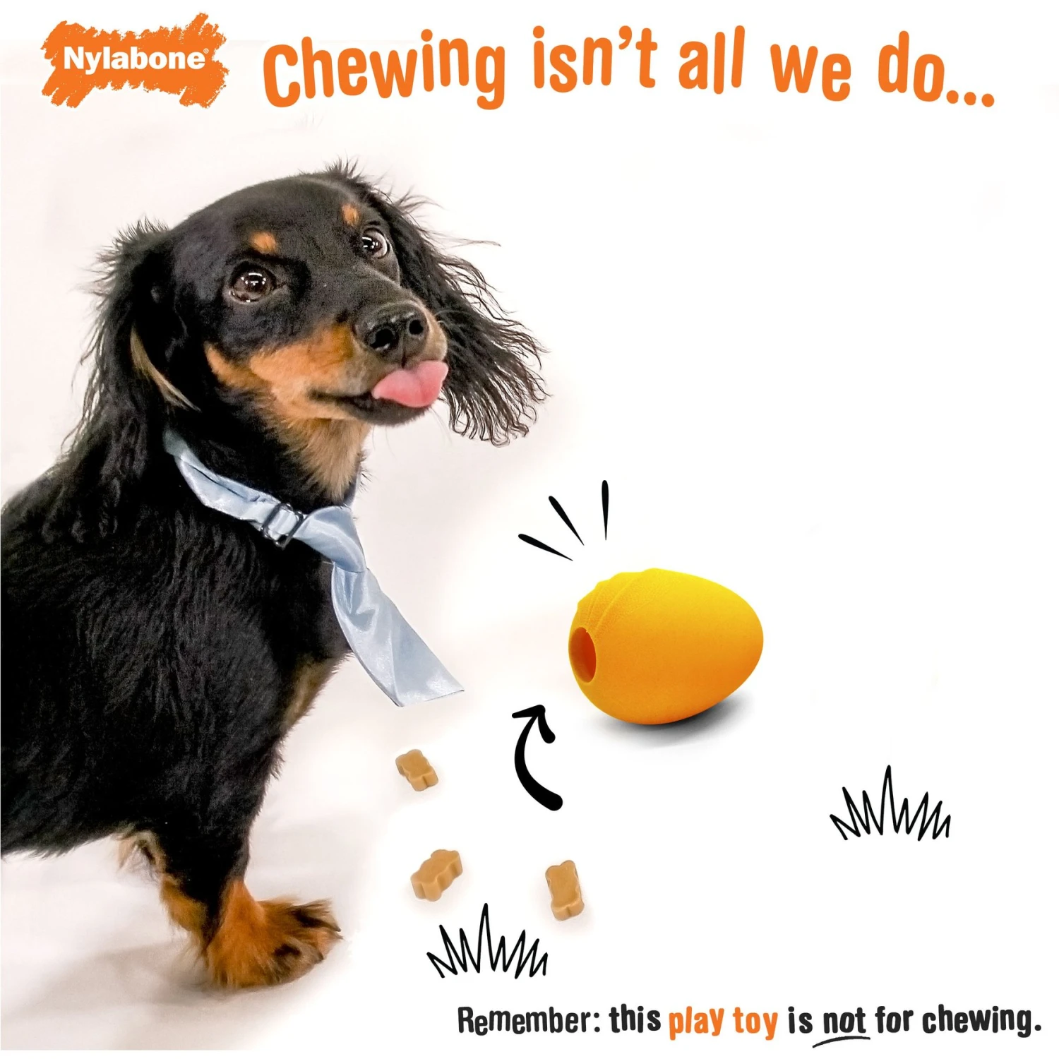 Nylabone Creative Play Eggi Treat Dispenser Dog Toy 2 Nylabone Creative Play Eggi Treat Dispenser Dog Toy - Image 2