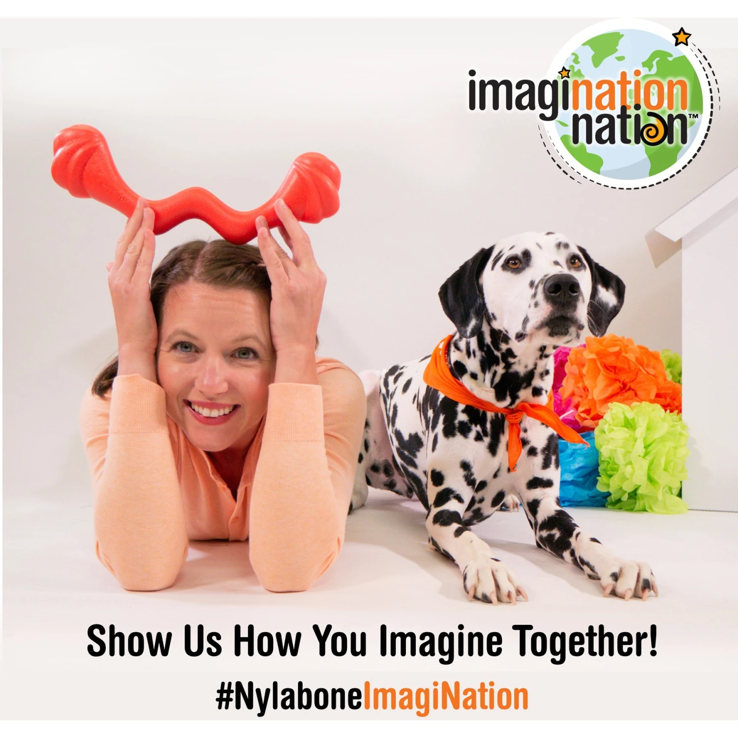 Nylabone Creative Play Eggi Treat Dispenser Dog Toy 8 Nylabone Creative Play Eggi Treat Dispenser Dog Toy - Image 8