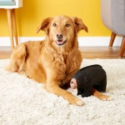 Tuffy's Zoo Bear Plush Dog Toy 8 Tuffy's Zoo Bear Plush Dog Toy -Dog Supply Store 94082 PT3. AC SS1800 V1589561225