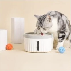 Hanamya Water Fountain Replacement Dog & Cat Filters, 4 Count 7 Hanamya Water Fountain Replacement Dog & Cat Filters, 4 Count -Dog Supply Store 954158 PT3. AC SS1800 V1694466046