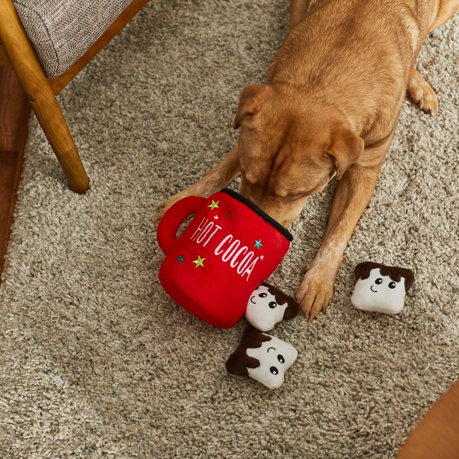 Frisco Holiday Hot Cocoa Hide & Seek Puzzle Plush Squeaky Dog Toy & Frisco Holiday North Pole Mailbox Hide & Seek Puzzle Plush Squeaky Dog Toy 5 Frisco Holiday Hot Cocoa Hide & Seek Puzzle Plush Squeaky Dog Toy & Frisco Holiday North Pole Mailbox Hide & Seek Puzzle Plush Squeaky Dog Toy - Image 5