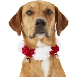 Frisco Holiday Dog & Cat Santa Hat, 1 Count & Frisco Jingle Bells Dog & Cat Holiday Collar With Bells, 1 Count 16 Frisco Holiday Dog & Cat Santa Hat, 1 Count & Frisco Jingle Bells Dog & Cat Holiday Collar With Bells, 1 Count -Dog Supply Store 986254 PT7. AC SS1800 V1698258115
