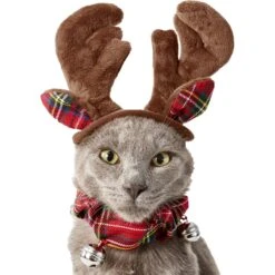 Frisco Jingle Bells Dog & Cat Holiday Collar With Bells, 1 Count & Frisco Holiday Antler Headband & Bell Collar Dog & Cat Costume -Dog Supply Store 986294 PT6. AC SS1800 V1698257736