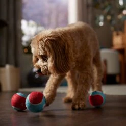 Frisco Holiday Ho Ho Ho Fetch Squeaky Tennis Ball Dog Toy & Frisco Holiday Arctic Friends Stuffing-Free Skinny Plush Squeaky Dog Toy -Dog Supply Store 986310 PT4. AC SS1800 V1698257790